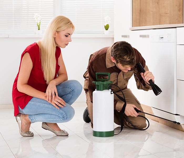 Woman Looking At Exterminator Worker Spraying Insecticide Chemical For Termite Pest Control In House Kitchen