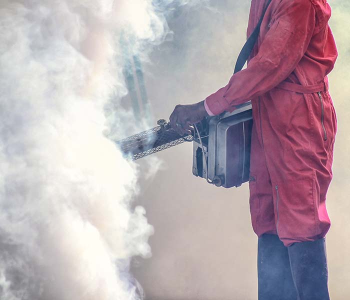 fumigation process
