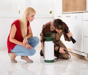 Woman Looking At Exterminator Worker Spraying Insecticide Chemical For Termite Pest Control In House Kitchen
